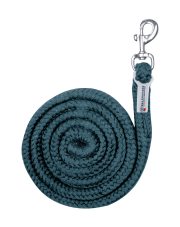 Waldhausen uwiąz Economic 24h