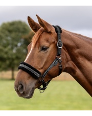 Waldhausen kantar Elegant 24h