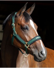 Back on Track kantar Werano