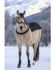 Back on Track pad rozgrzewający Royal