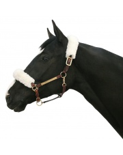 Back on track futerko komplet 2szt