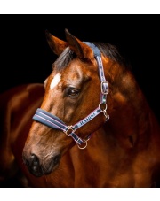 Horseware kantar Rambo 24h