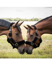 Back on Track kantar Audrey z futerkiem