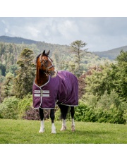 Horseware derka padokowa Amigo Hero Ripstop 50g 24h