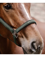 Waldhausen kantar Athletic 24h