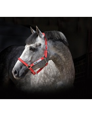 Horseware kantar bezpieczny Field Safe 24h