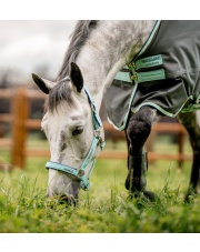 Horseware kantar bezpieczny Field Safe 24h