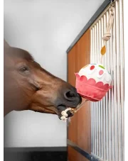 LeMieux zabawka dla konia Muffinka 24h