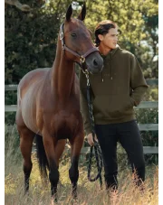 LeMieux bluza jeździecka z kapturem Alpine, męska