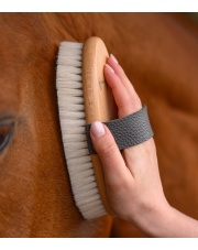 Waldhausen szczotka Exclusive Shiny, kozie włosie