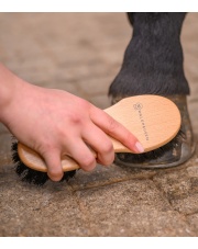 Waldhausen szczotka Exclusive do kopyt