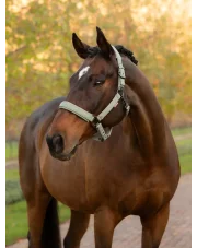 LeMieux kantar dla konia Essence Rosemary