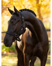 LeMieux kantar dla konia Essence Black