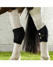 Back on Track ochraniacz na staw skokowy  