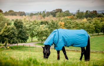 kod rabatowy na derki Horseware