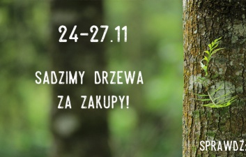 Green Friday - sadzimy drzewa