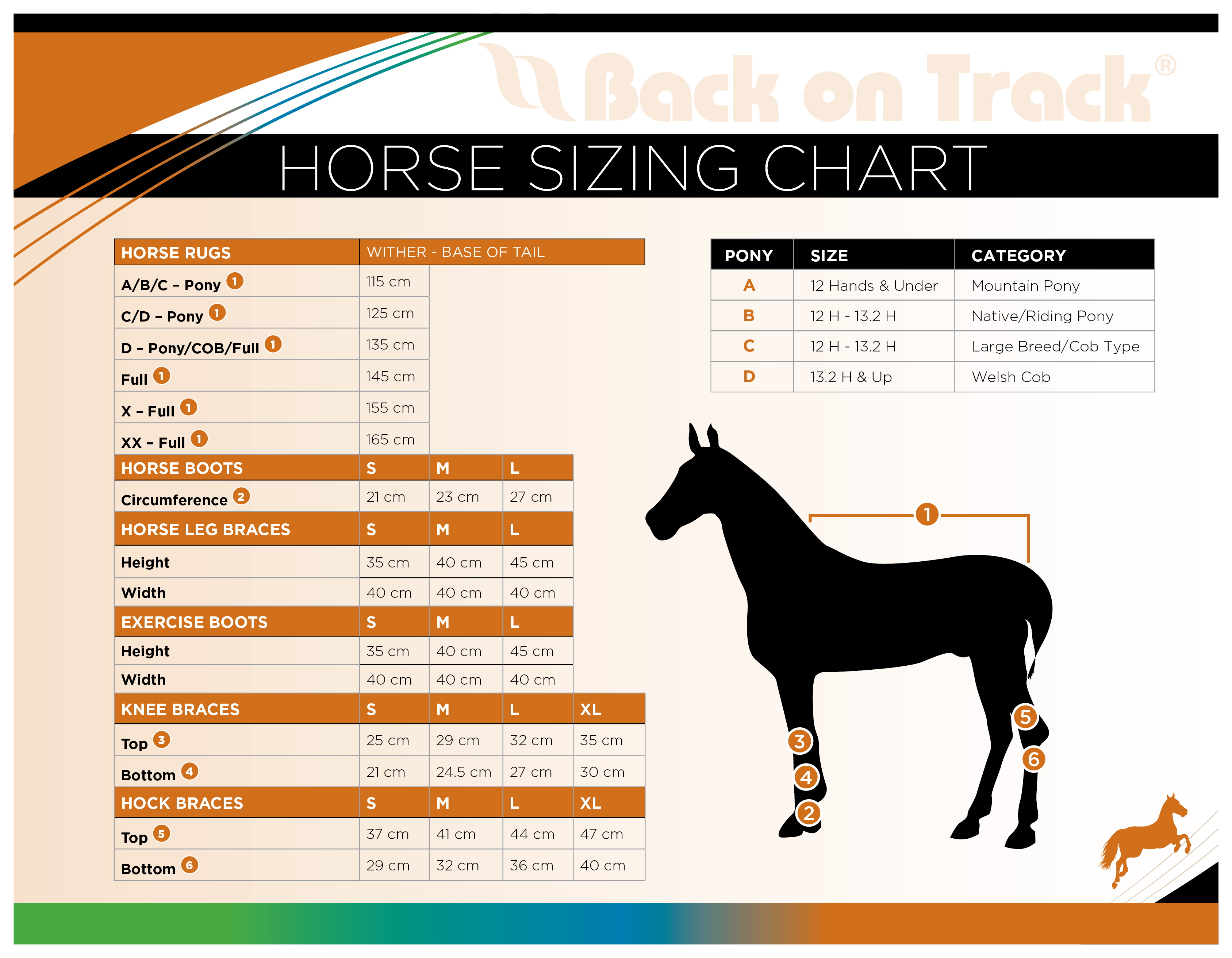 Horse exercise sheet sizing